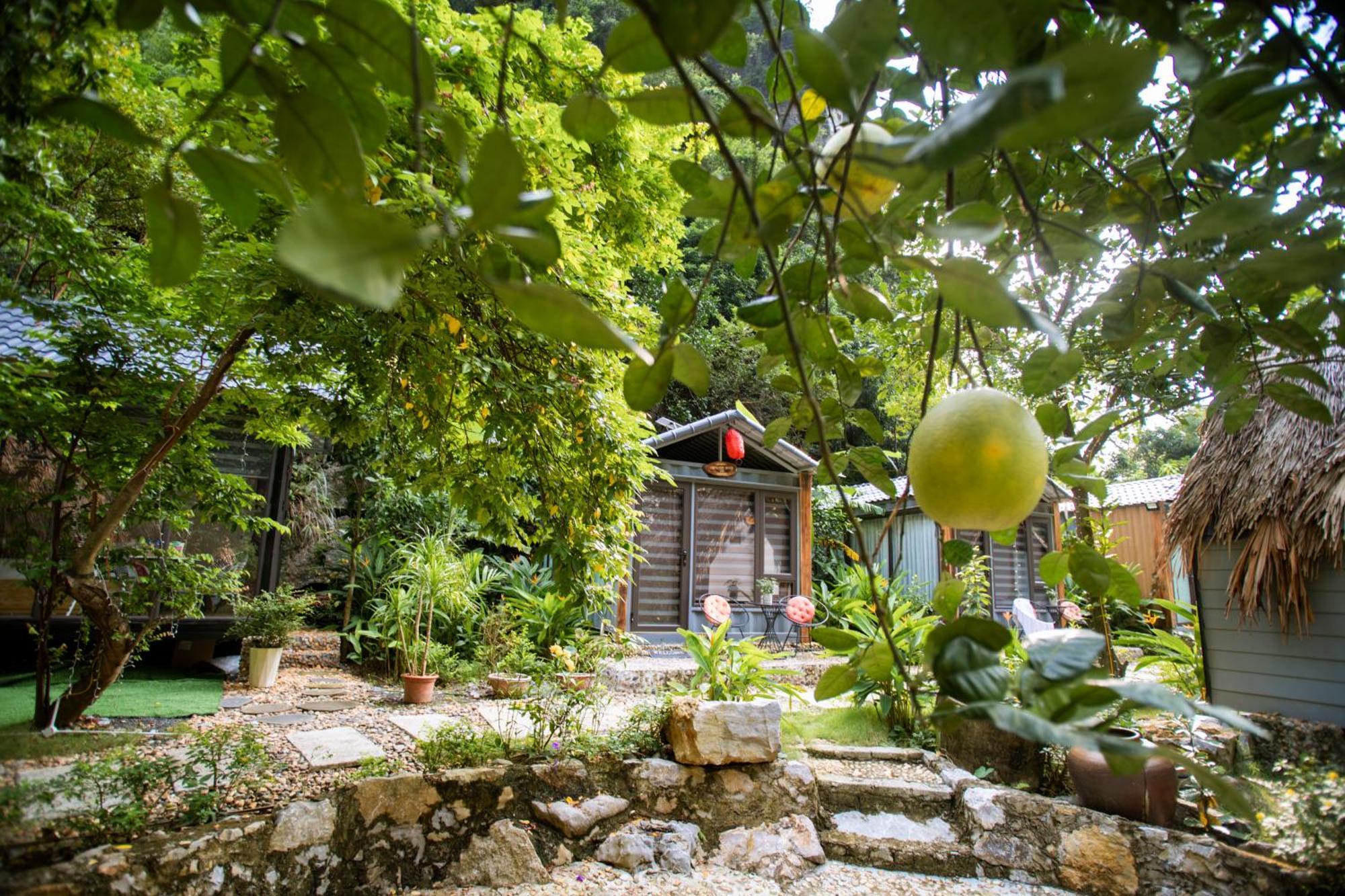 Hoang Minh Mountainside Villa Ниньбинь Экстерьер фото